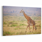 Serene Giraffe in Savannah Wall Art - Canvas, Framed & Acrylic Prints