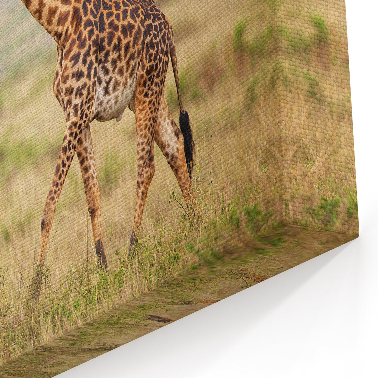 Serene Giraffe in Savannah Wall Art - Canvas, Framed & Acrylic Prints