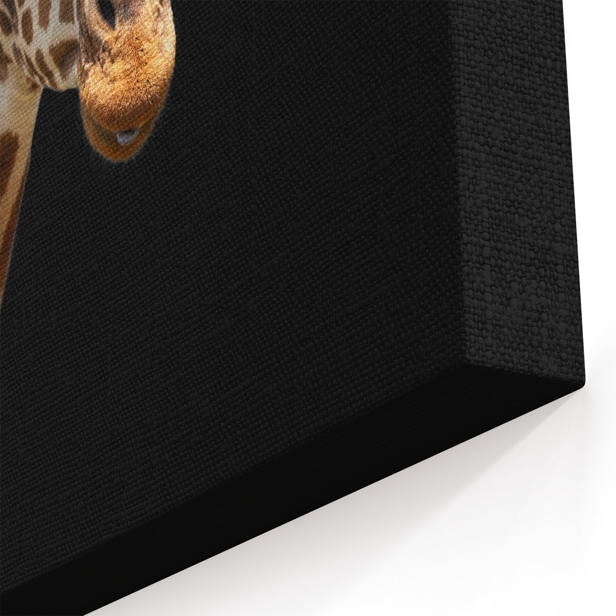 Majestic Giraffe Wall Art - Elegant Wildlife Canvas Print