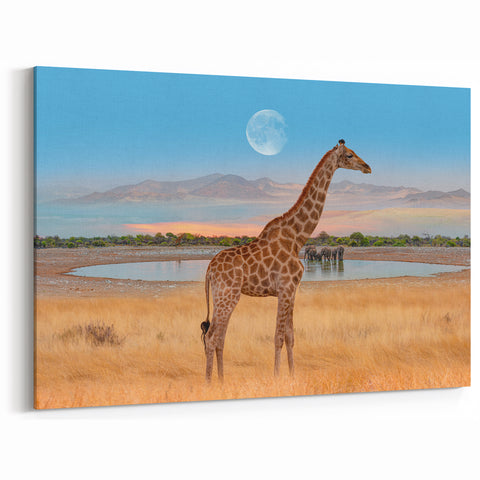 Giraffe at Moonlit Watering Hole - Canvas, Framed & Acrylic Prints