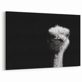 Striking Ostrich Wall Art - Black and White Ostrich Canvas Decor