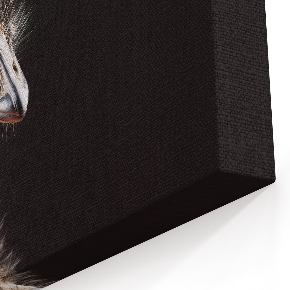 Majestic Ostrich Wall Art - Bold African Ostrich Canvas Decor