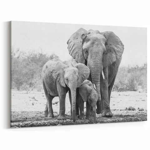 Elegant Black and White Elephant Wall Art - Timeless Wildlife Photography