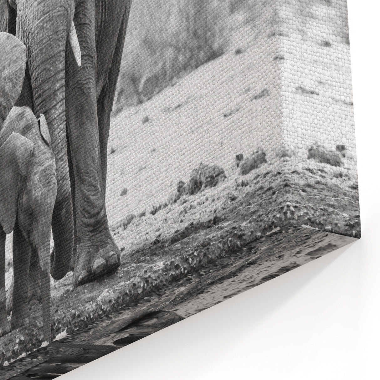 Elegant Black and White Elephant Wall Art - Timeless Wildlife Photography