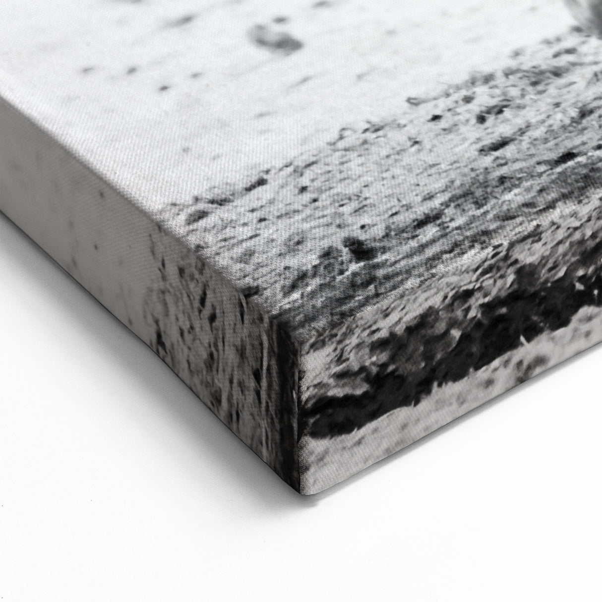 Elegant Black and White Elephant Wall Art - Timeless Wildlife Photography