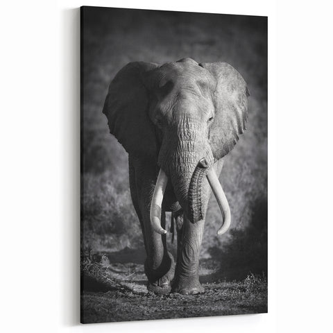 Majestic Black and White Elephant Wall Art - Powerful Wildlife Photography