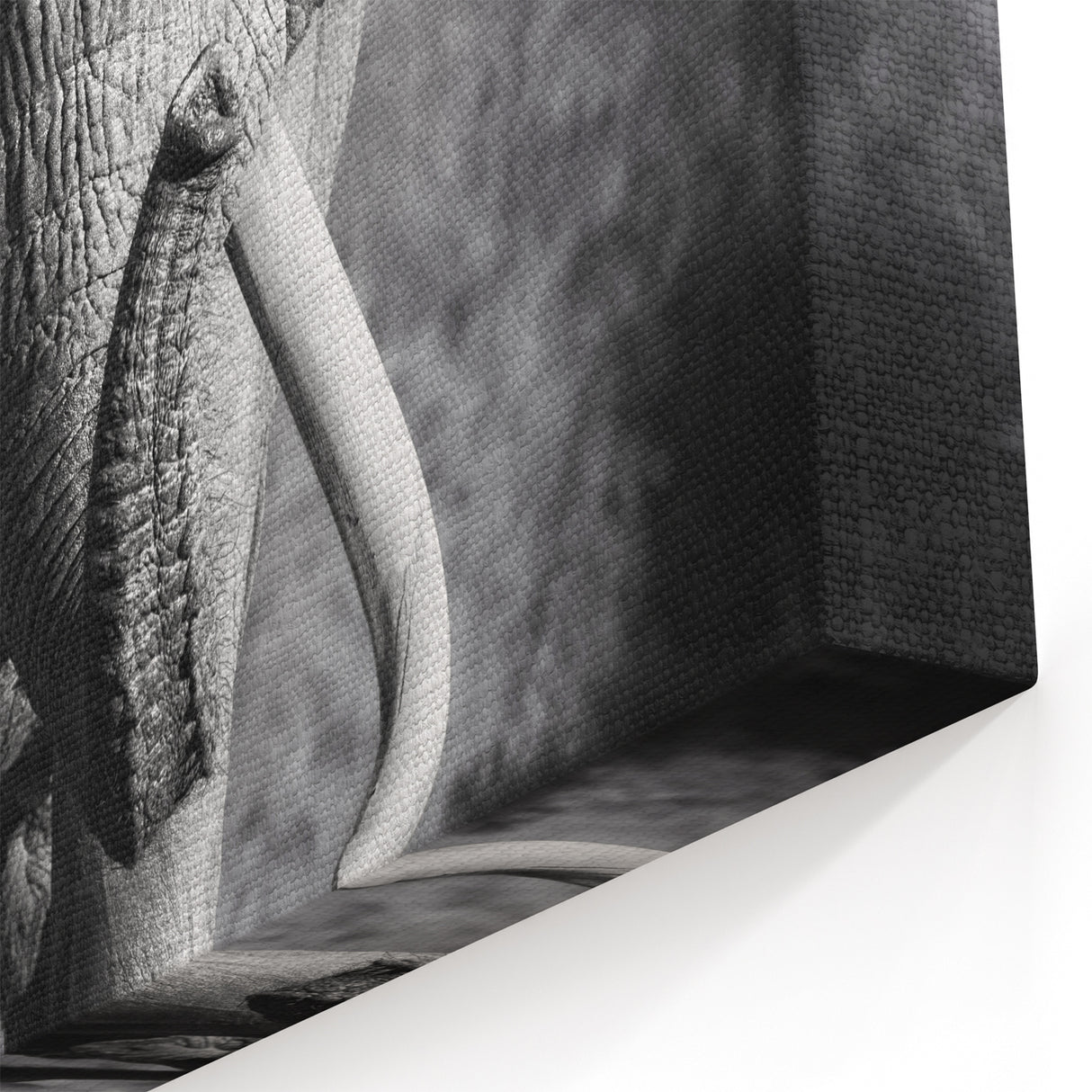 Majestic Black and White Elephant Wall Art - Powerful Wildlife Photography