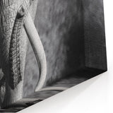 Majestic Black and White Elephant Wall Art - Powerful Wildlife Photography