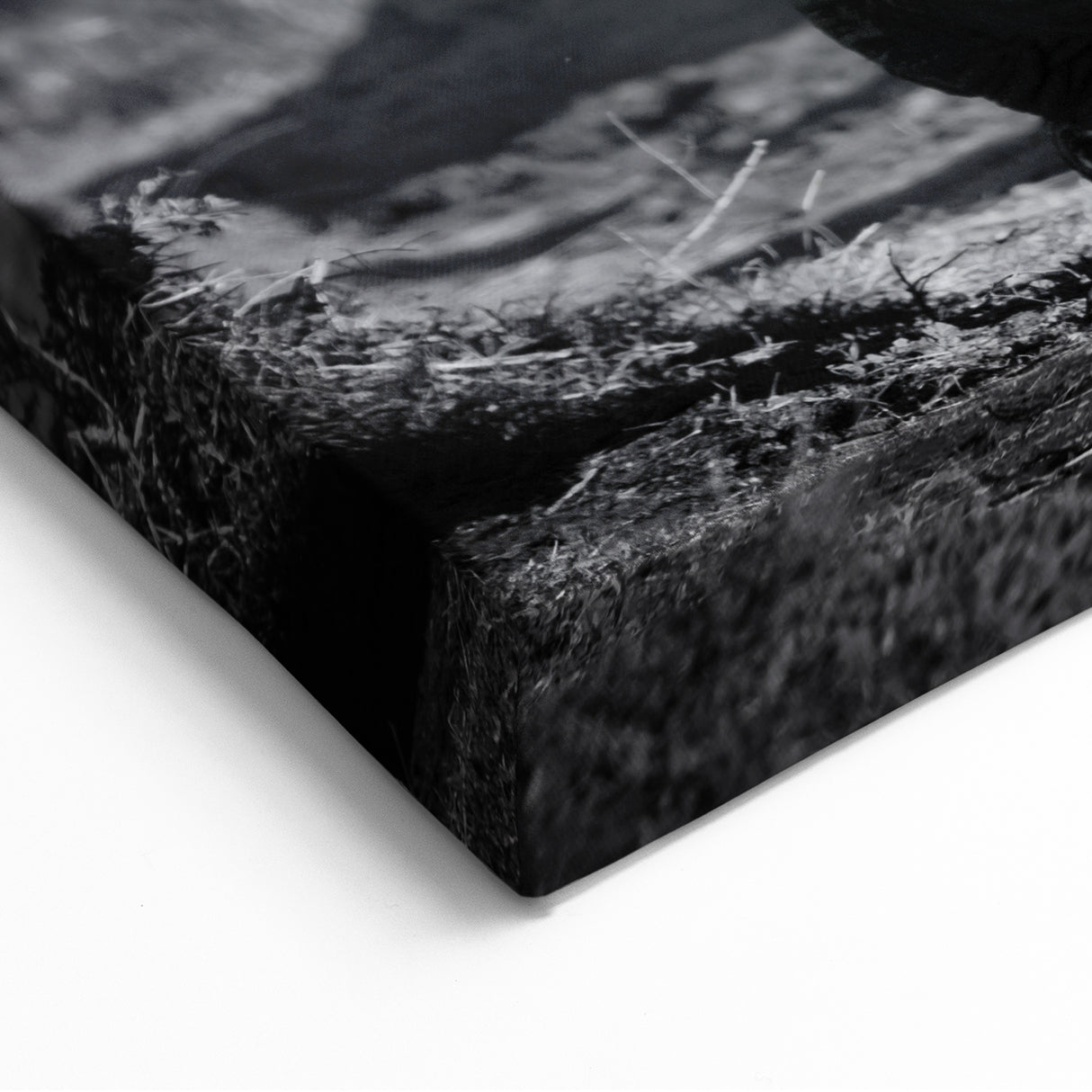 Majestic Black and White Elephant Wall Art - Powerful Wildlife Photography