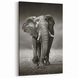 Monochrome Elephant Wall Art - Striking Black & White Canvas Print