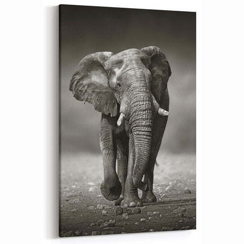 Monochrome Elephant Wall Art - Striking Black & White Canvas Print