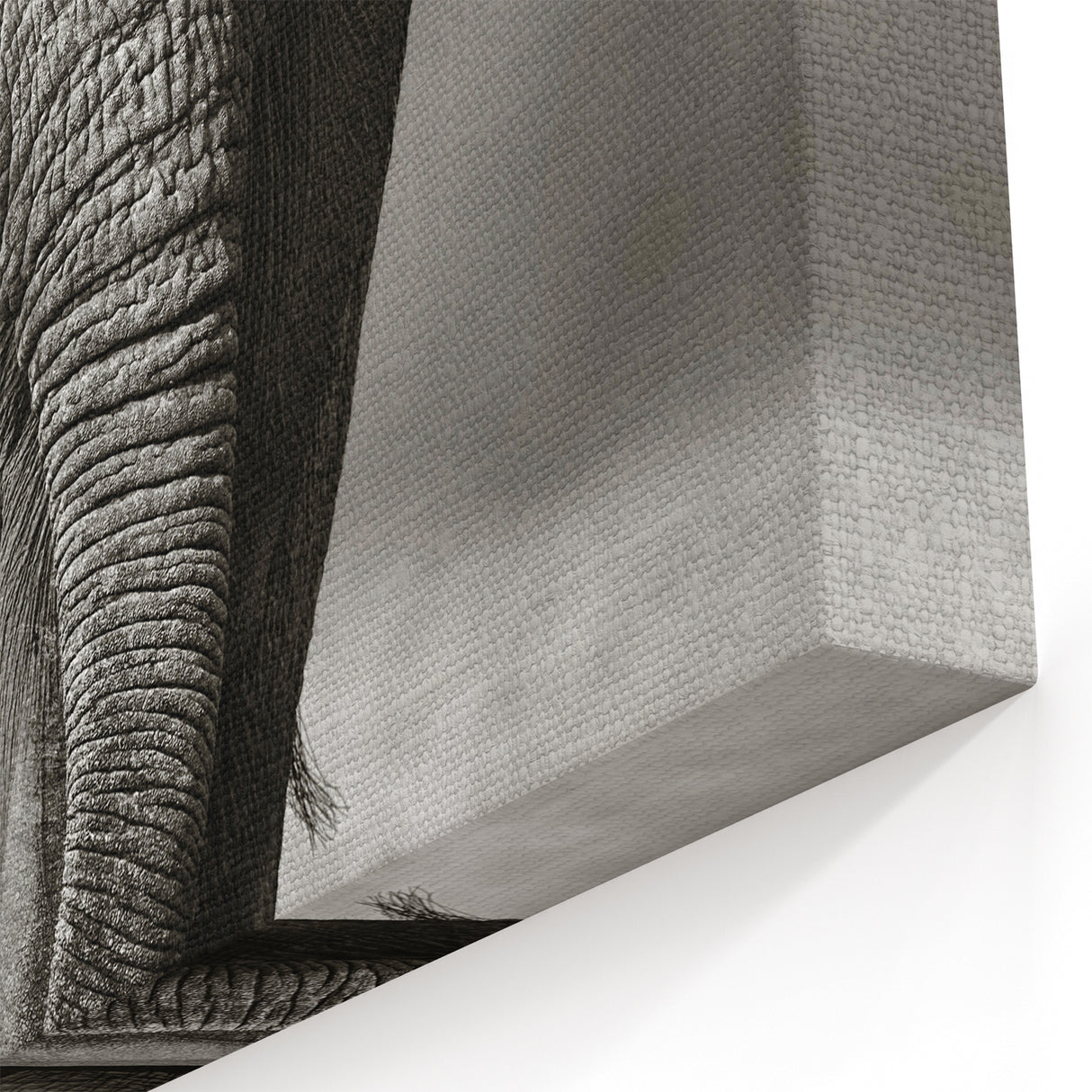 Monochrome Elephant Wall Art - Striking Black & White Canvas Print