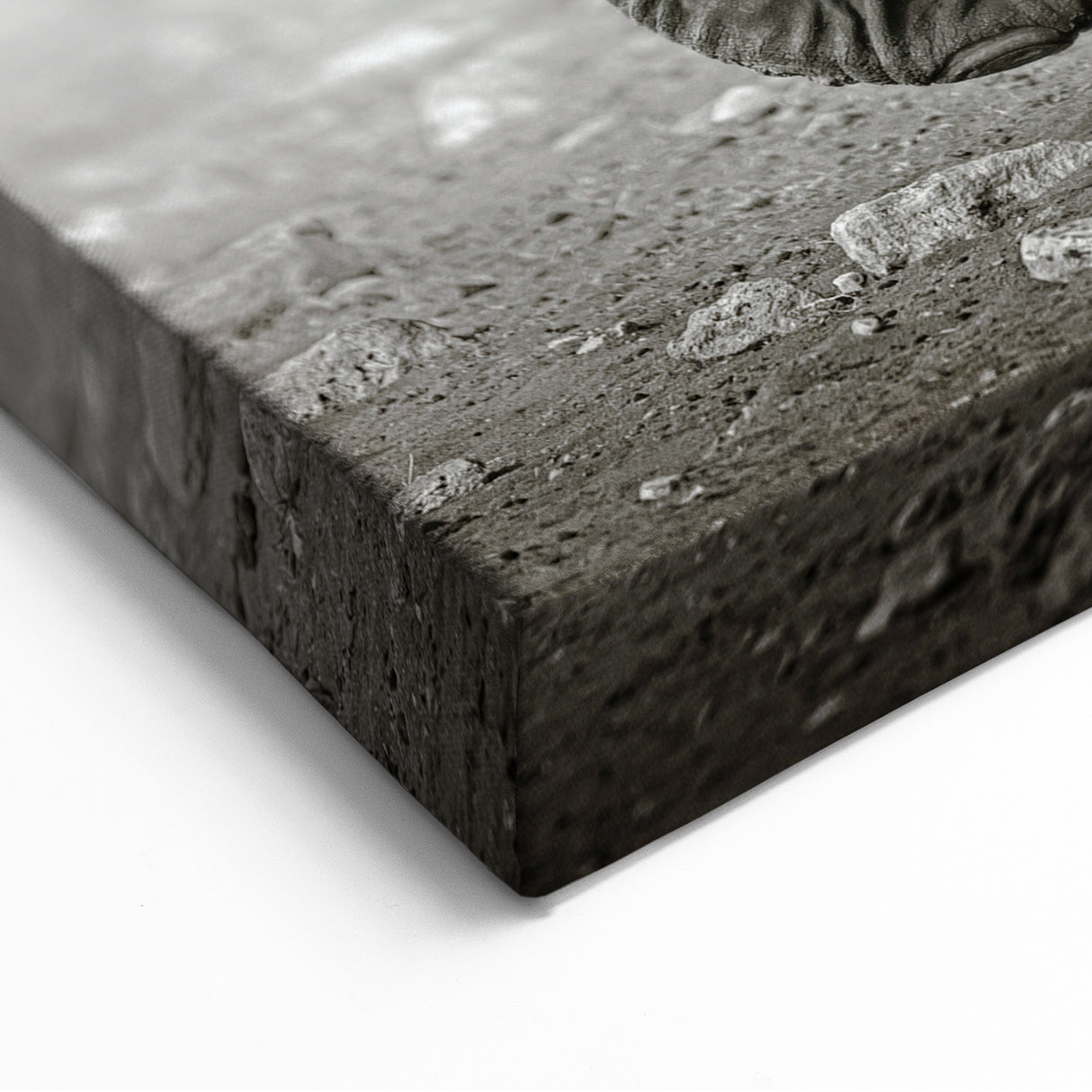 Monochrome Elephant Wall Art - Striking Black & White Canvas Print