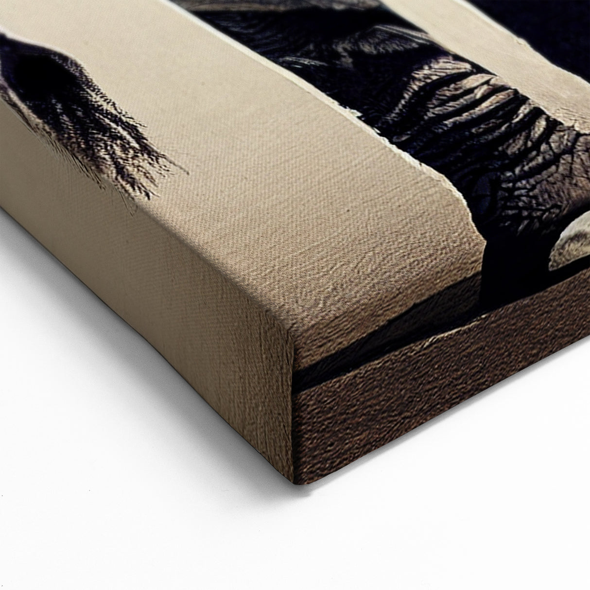 Abstract Elephant Wall Art - Unique Black & White Safari Canvas Print