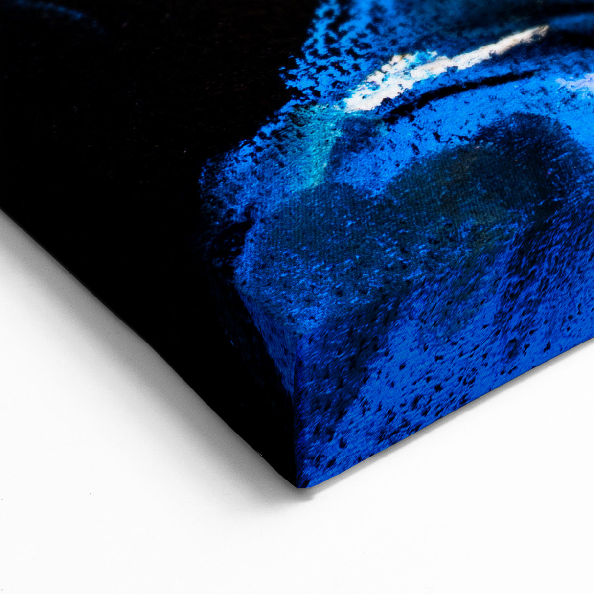 Tropical Parrot Wall Art - Vibrant Parrot Canvas Art for Home Decor