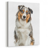 Charming Australian Shepherd Wall Art - Cute Australian Shepherd Canvas Art