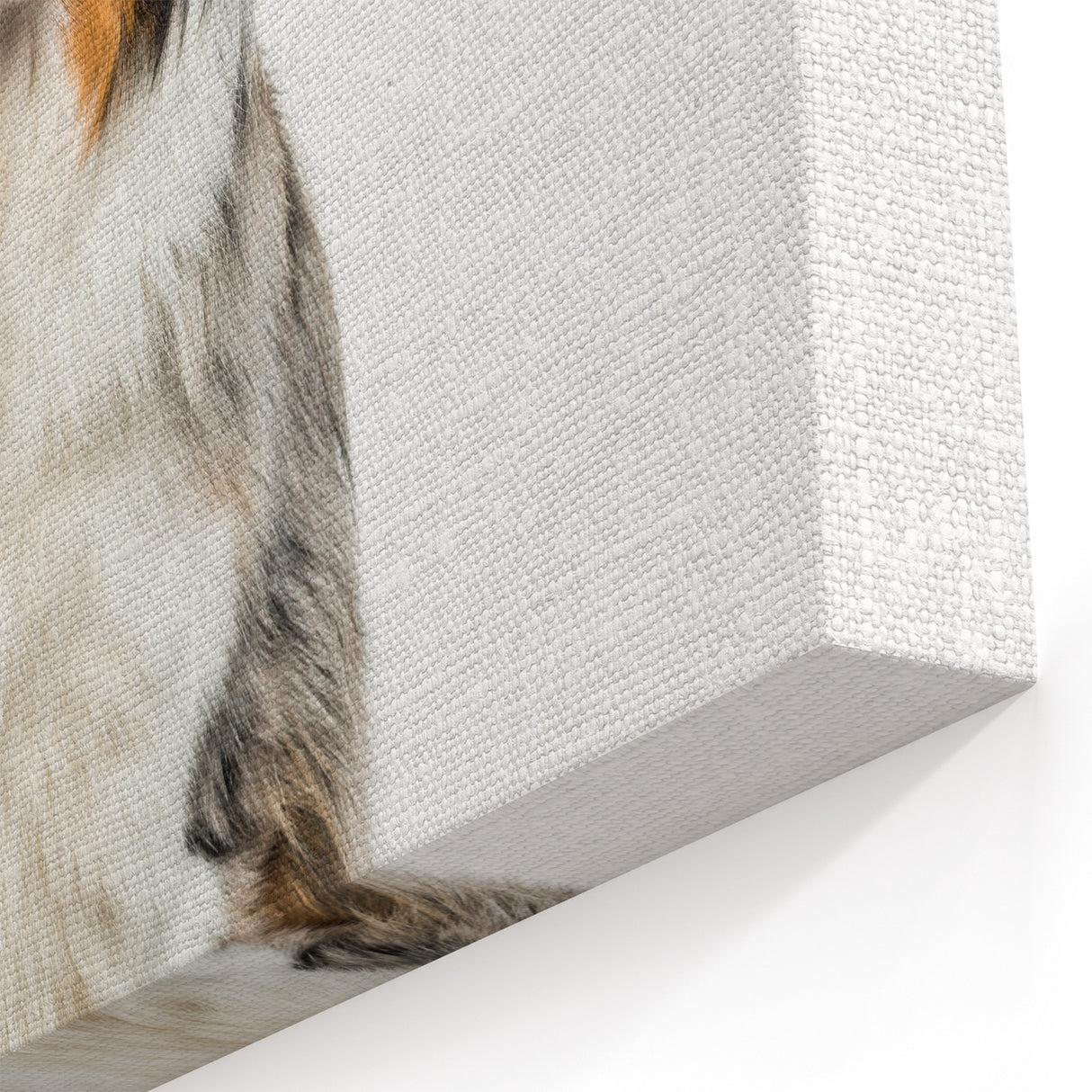 Charming Australian Shepherd Wall Art - Cute Australian Shepherd Canvas Art
