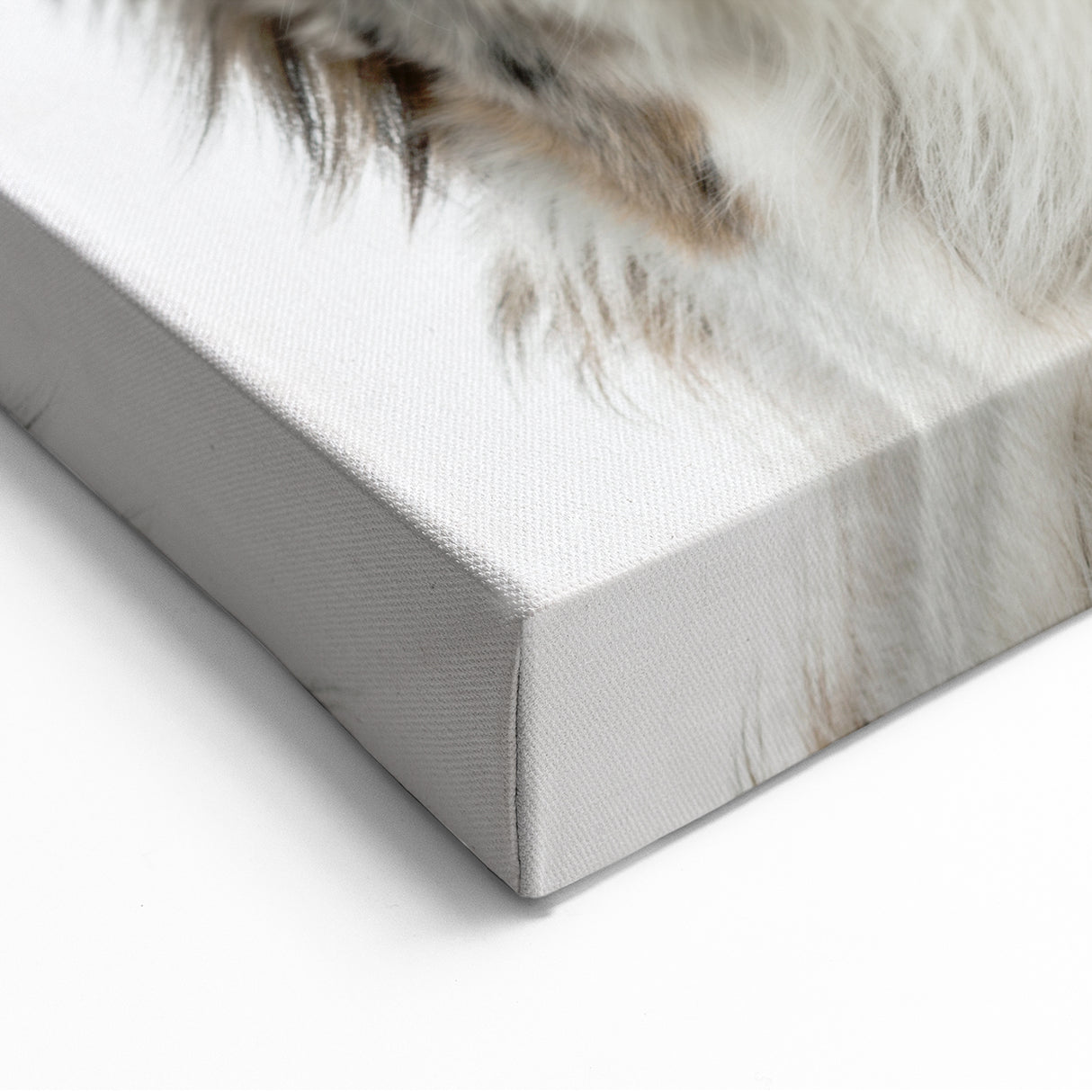 Charming Australian Shepherd Wall Art - Cute Australian Shepherd Canvas Art