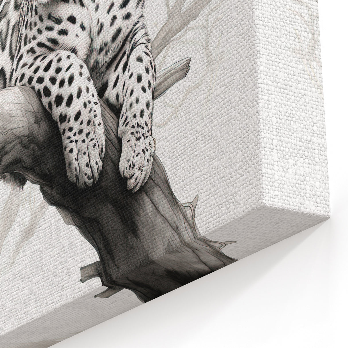 Elegant Cheetah Wall Art - Monochrome Cheetah Canvas for Modern Decor