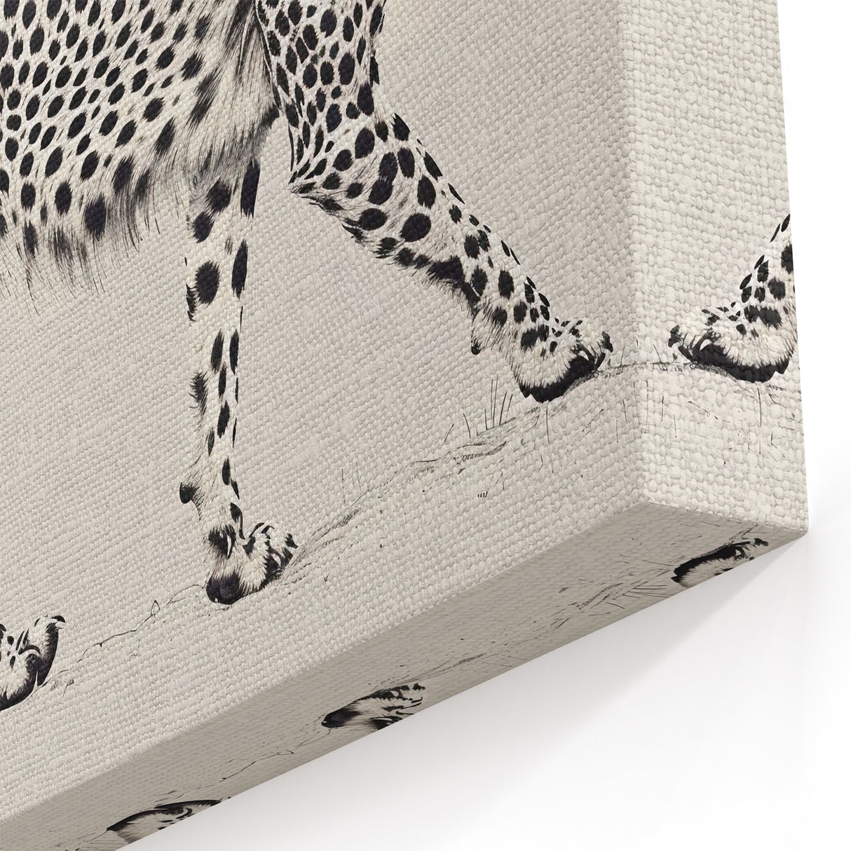 Minimalist Cheetah Wall Art - Elegant Cheetah Canvas for Modern Decor