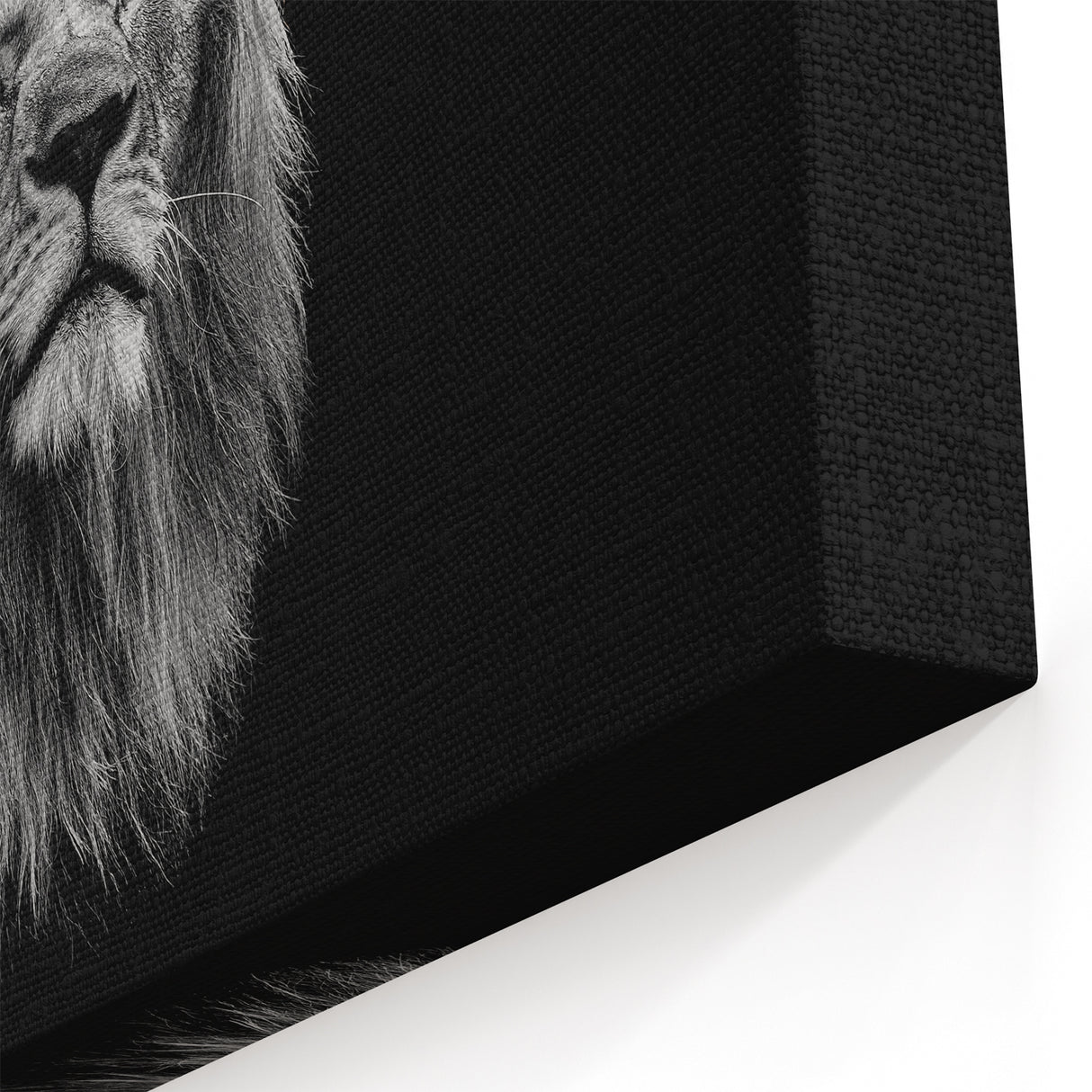 Majestic Lion Wall Art - Black & White Lion Canvas Print for Home Decor