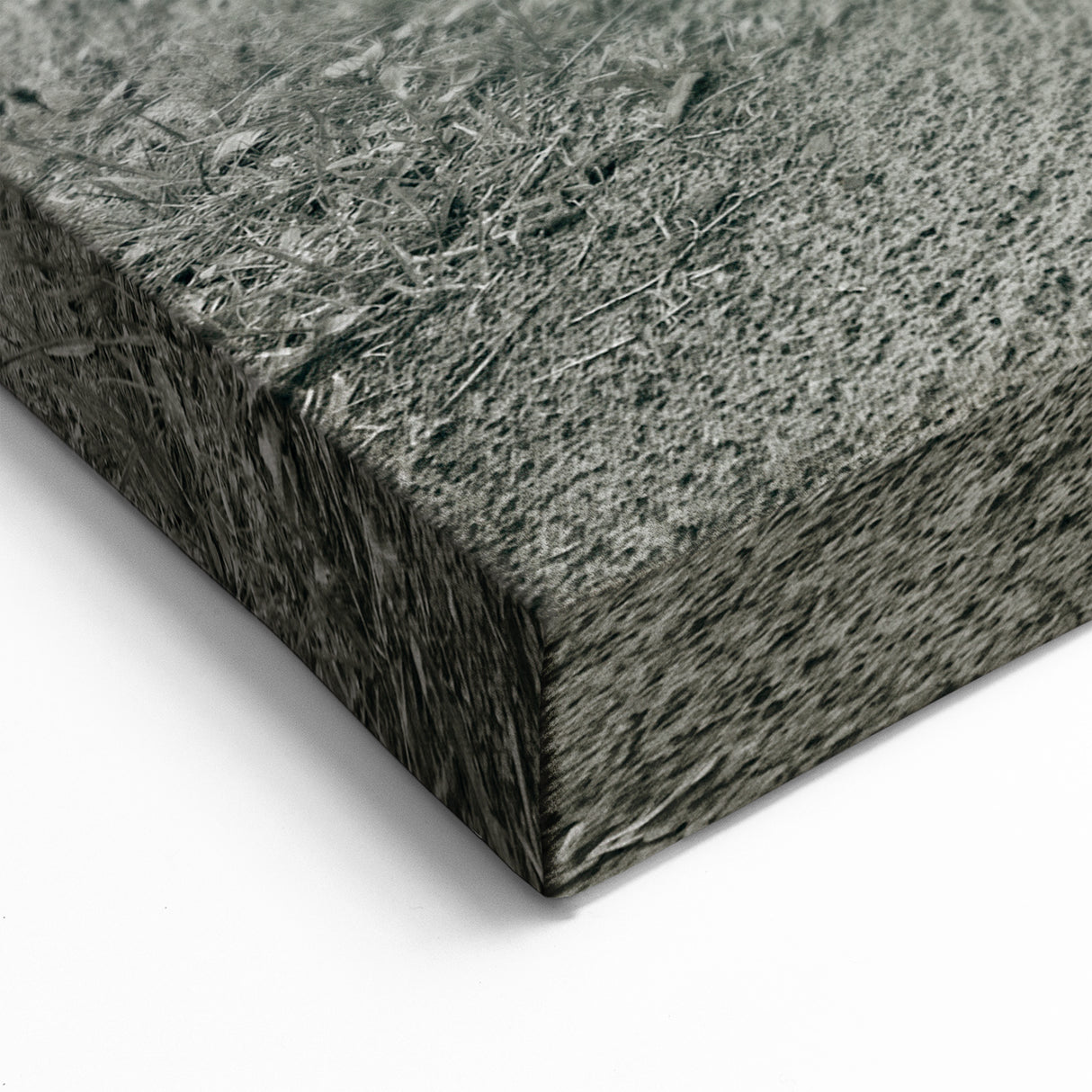 Goat Wall Art - Rustic Farm Animals Canvas Print for Wildlife Decor