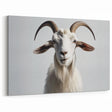 Majestic Goat Wall Art - Premium Canvas, Framed & Acrylic Decor Options