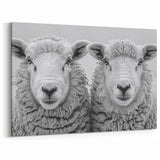 Monochrome Sheep Duo Wall Art - Canvas, Framed & Acrylic Prints