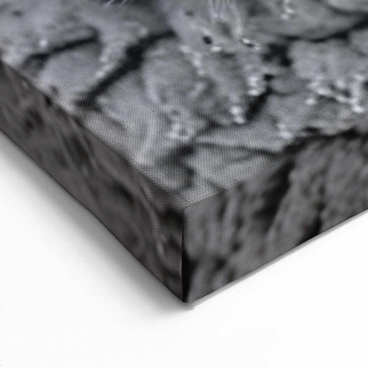 Monochrome Sheep Duo Wall Art - Canvas, Framed & Acrylic Prints