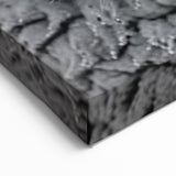 Monochrome Sheep Duo Wall Art - Canvas, Framed & Acrylic Prints