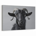 Black Goat Art Print - Modern Monochrome Wildlife Wall Decor