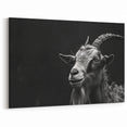 Black and White Goat Art - Dramatic Monochrome Wildlife Wall Print