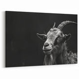 Black and White Goat Art - Dramatic Monochrome Wildlife Wall Print