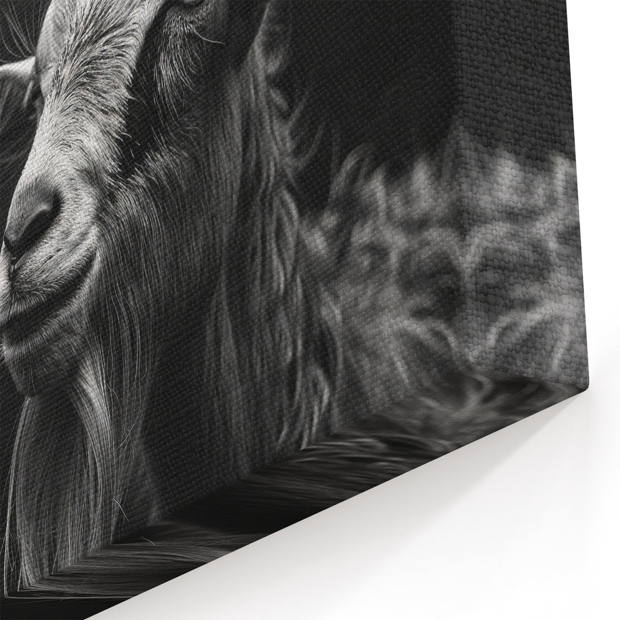 Black and White Goat Art - Dramatic Monochrome Wildlife Wall Print