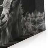 Black and White Goat Art - Dramatic Monochrome Wildlife Wall Print