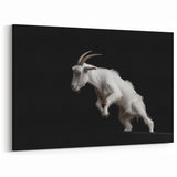 White Goat Art Print - Minimalist Monochrome Wildlife Wall Decor