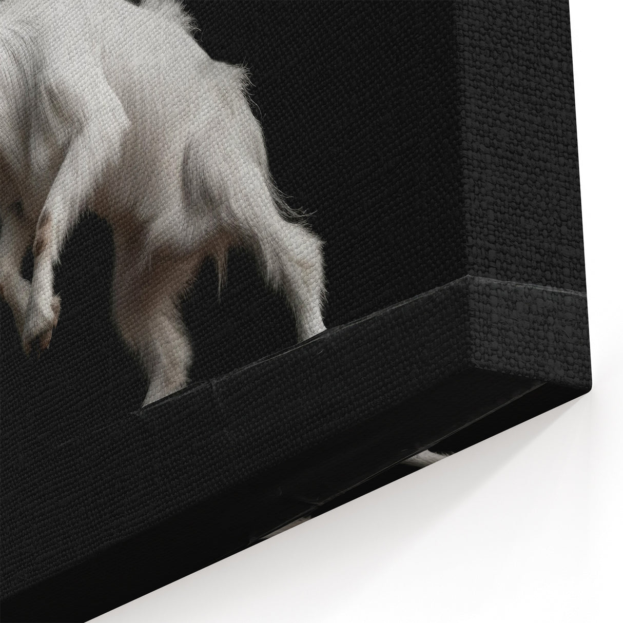 White Goat Art Print - Minimalist Monochrome Wildlife Wall Decor