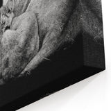 Family of Lions Wall Art - Wildlife Canvas Print