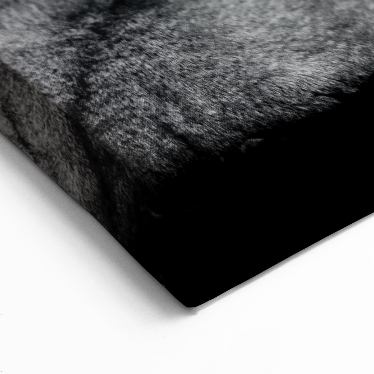 Family of Lions Wall Art - Wildlife Canvas Print