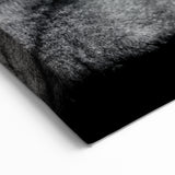 Family of Lions Wall Art - Wildlife Canvas Print