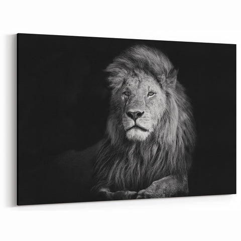 Majestic Lion Wall Art - Black and White Lion Canvas Print for Modern Decor