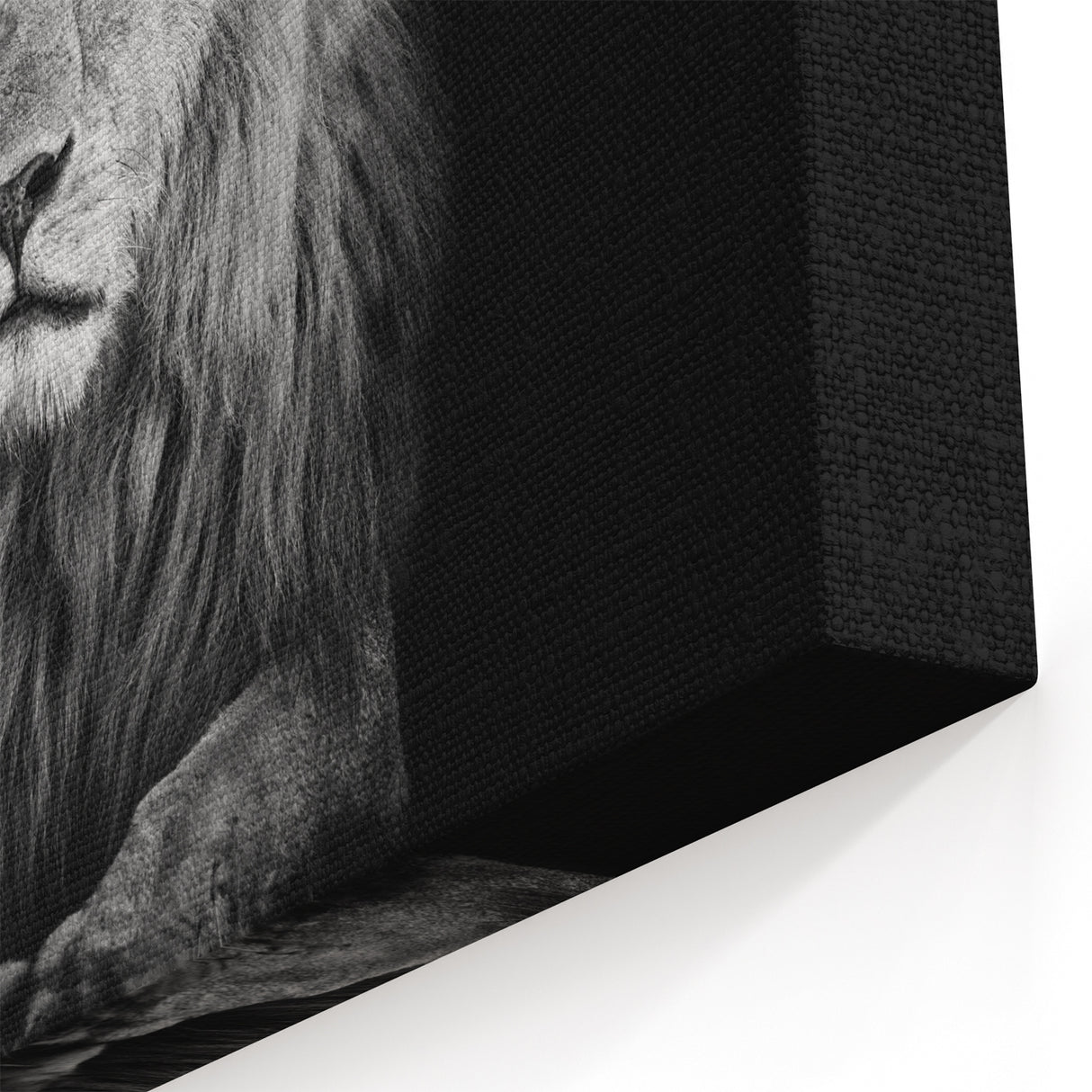 Majestic Lion Wall Art - Black and White Lion Canvas Print for Modern Decor