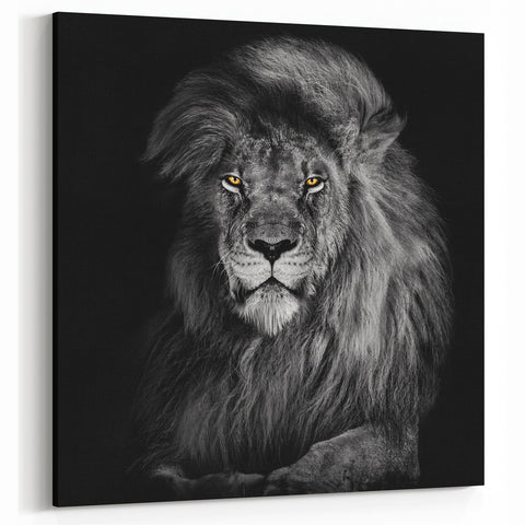 Majestic Lion Wall Art - Framed & Canvas Prints for Stunning Home Decor