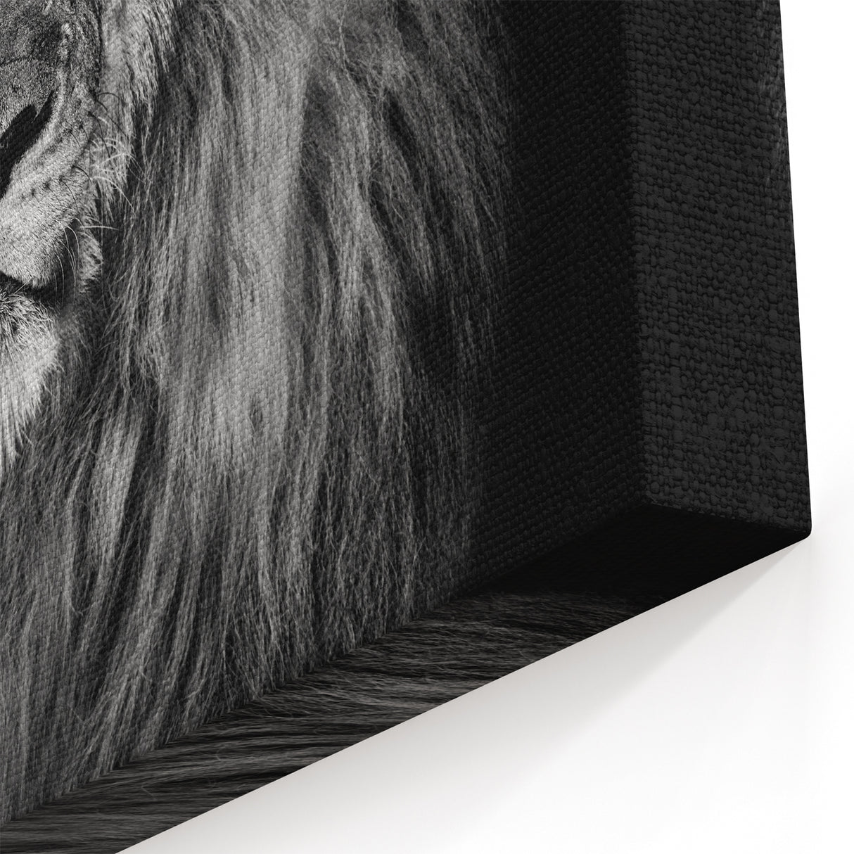 Majestic Lion Wall Art - Framed & Canvas Prints for Stunning Home Decor