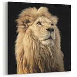 Regal Lion Wall Art - Framed & Canvas Prints for Elegant Home Decor
