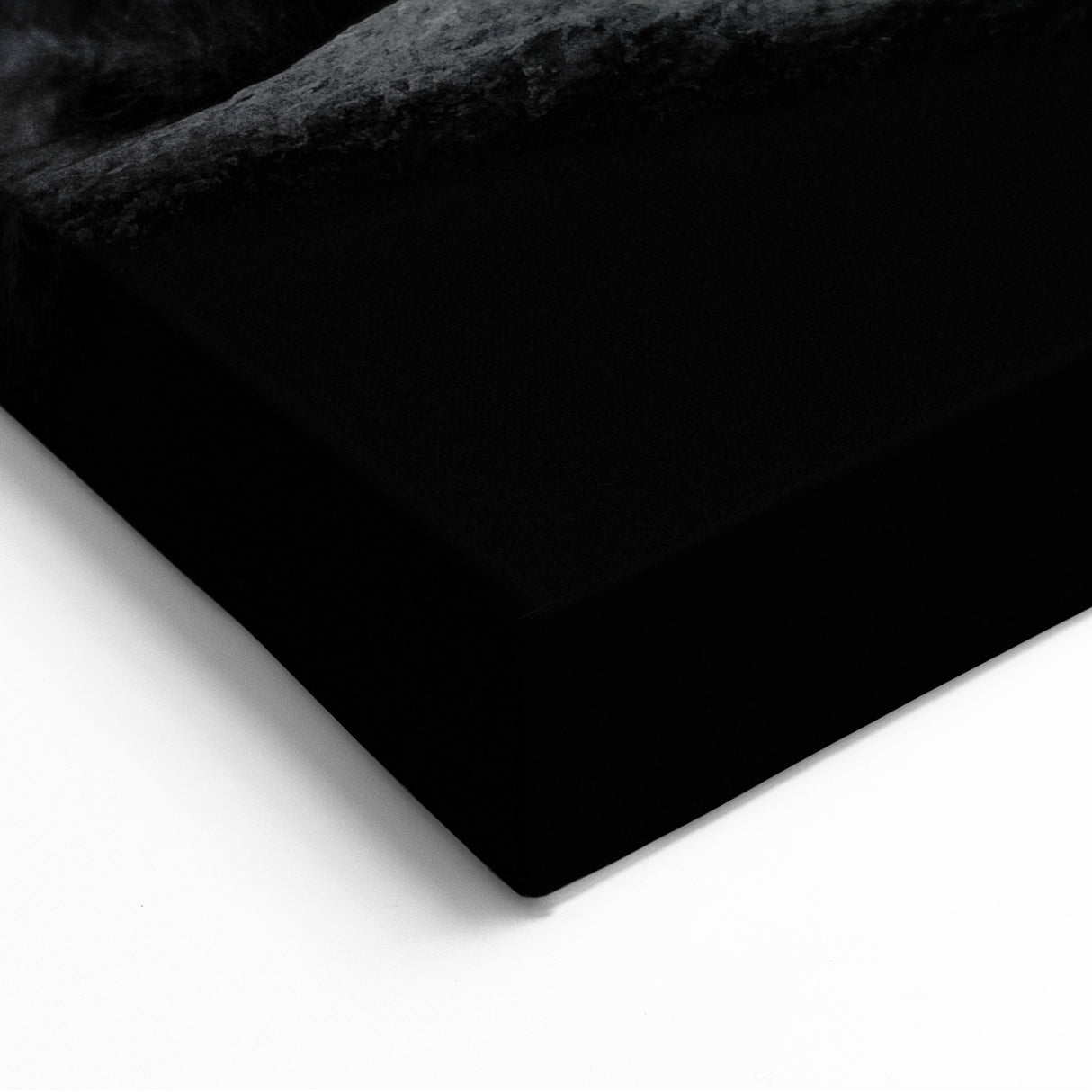 Powerful Lion Wall Art - Framed & Canvas Prints for Bold Home Decor