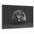 Striking Black and White Hedgehog Wall Art - Modern Animal Decor