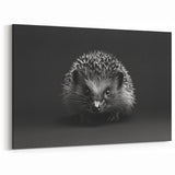 Striking Black and White Hedgehog Wall Art - Modern Animal Decor