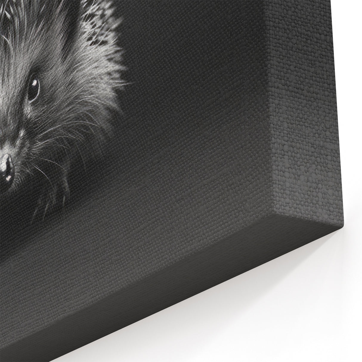 Striking Black and White Hedgehog Wall Art - Modern Animal Decor