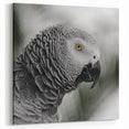 Elegant African Grey Parrot Wall Art - Monochrome Parrot Canvas Print